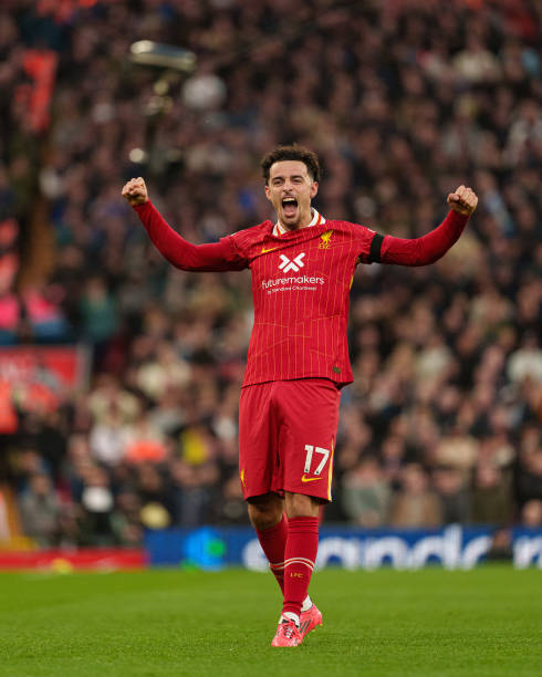 他们的经验 他们的经验